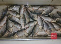 酱焖鲫鱼的做法图解1