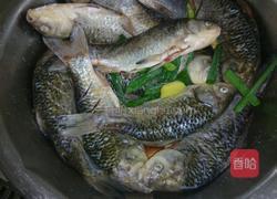 酱焖鲫鱼的做法图解2
