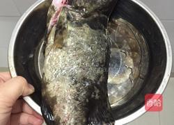 清蒸石斑的做法图解1