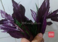 鱼汤浸紫蕨菜的做法图解1