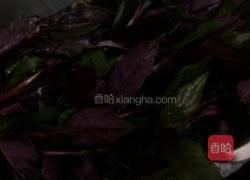 鱼汤浸紫蕨菜的做法图解5