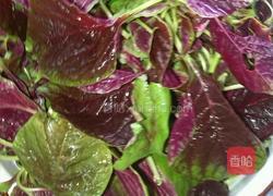 美容养颜粥的做法图解4