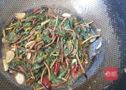 清炒马齿苋的做法图解4