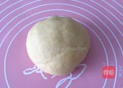 蛋奶小麻花的做法图解6