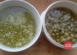 菊花绿豆粥。的做法图解1