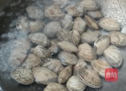 烩花蛤蜊。的做法图解3