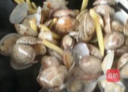 烩花蛤蜊。的做法图解5