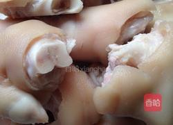 红烧猪手的做法图解2