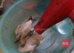 红烧乳鸽的做法图解3