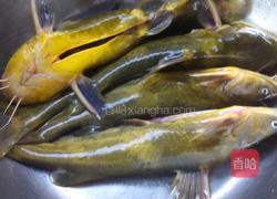 昂刺鱼豆腐汤的做法图解2