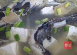 昂刺鱼豆腐汤的做法图解9
