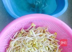 粉皮黄豆芽烧肉的做法图解1