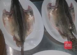 清蒸桂鱼的做法图解1