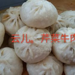 芹菜牛肉包子。的做法[图]