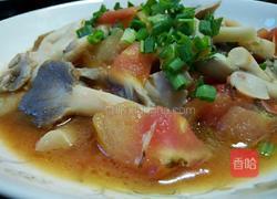 西红柿炒蘑菇的做法图解7