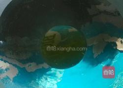 厚蛋烧的做法图解4