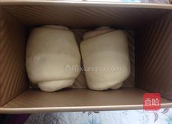 百分百中种山形吐司的做法图解3