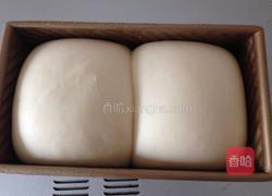 百分百中种山形吐司的做法图解4