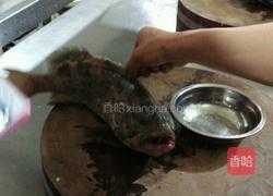 清蒸东星斑的做法图解1