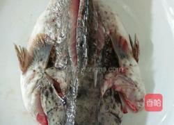 清蒸东星斑的做法图解4