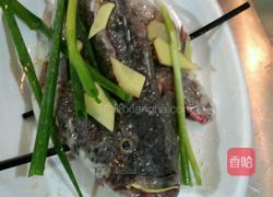 清蒸东星斑的做法图解6
