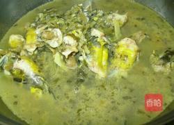 雪菜煨烧昂刺鱼的做法图解6