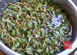 马齿苋菜团子的做法图解1