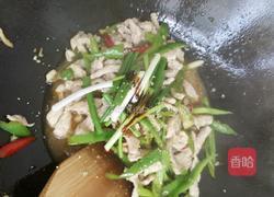 青椒肉丝的做法图解5