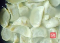 羊肉香椿水饺的做法图解6