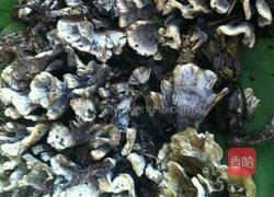 干巴菌的做法图解1