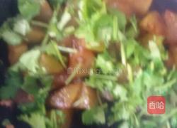 素菜烧冬瓜。的做法图解5