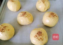 早餐小餐包的做法图解6
