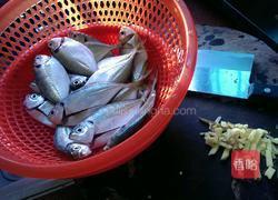 西瓜皮鱼的做法图解1