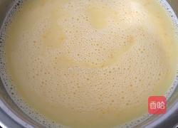 芒果冰淇淋的做法图解4