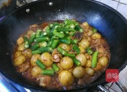 小土豆烧鸡的做法图解5