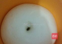 奶香豆沙椰蓉小餐包的做法图解3