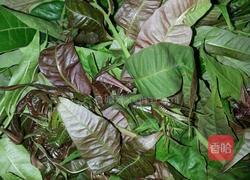 香椿鸡蛋饼的做法图解1