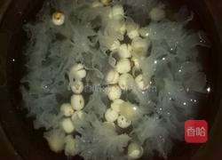 银耳莲子羹的做法图解4