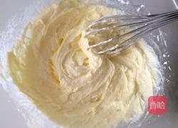 可可坚果曲奇的做法图解6