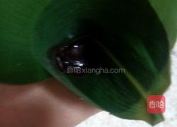 豆沙糯米粽的做法图解7