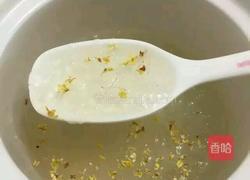 杨梅燕窝,冰冰凉~的做法图解11