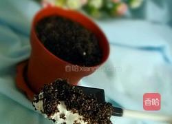酸奶盆栽的做法图解7