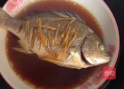 清蒸海鲫鱼的做法图解3