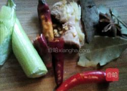 西红柿烧牛腩的做法图解3