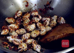 香辣酱爆花螺的做法图解5