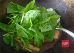 菜苔烧豆腐的做法图解5