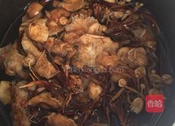 素炒小黄蘑的做法图解1