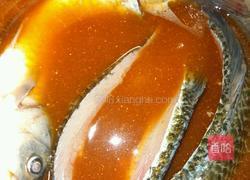 醉鱼的做法图解4