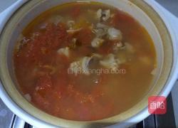 西红柿炖牛腩的做法图解10