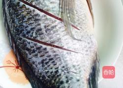 红烧罗非鱼的做法图解1